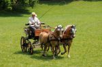 2011_06_04__1856.jpg