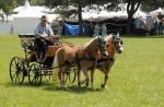 2011_06_04__1893.jpg