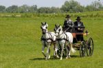 2011_06_04__1902.jpg