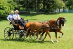 2011_06_04__1911.jpg