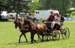 2011_06_04__1956.jpg