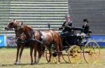 2011_06_04__2089.jpg
