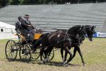 2011_06_04__2097.jpg