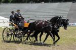 2011_06_04__2098.jpg