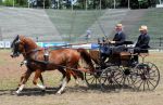 2011_06_04__2961.jpg
