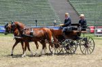 2011_06_04__3009.jpg