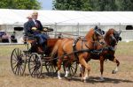 2011_06_04__3173.jpg