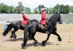 2011_06_04__3191.jpg