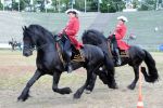 2011_06_04__3270.jpg