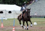 2011_06_04__3577.jpg