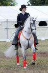 2011_06_04__3685.jpg