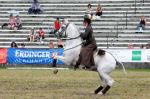 2011_06_04__3729.jpg