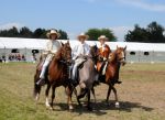 2011_06_04__3742.jpg