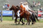 2011_06_04__3751.jpg