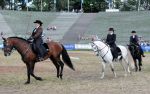 2011_06_04__4070.jpg