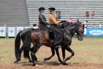 2011_06_04__4125.jpg