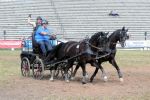 2011_06_04__4166.jpg