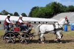 2011_06_04__4524.jpg