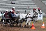 2011_06_04__4640.jpg