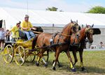 2011_06_04__4764.jpg