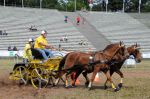 2011_06_04__4783.jpg