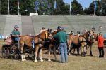 2011_06_04__6019.jpg