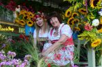 2015_08_04_06594.jpg