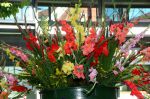 2015_08_04_06701.jpg