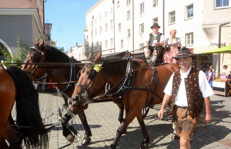 2015_08_29_07714.jpg