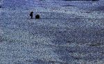 2004_04_12__220100000.jpg