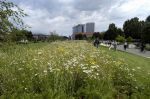 2004_06_27__0490.jpg