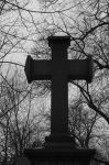 2005_01_22__00070400.jpg