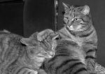 2005_03_10__000098000.jpg