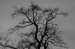2005_03_17__0012120.jpg