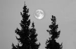 2005_03_24__0000250000000.jpg