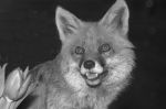 2005_04_07__001405000.jpg