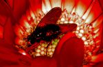 2005_08_24__000748.jpg