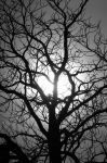 2006_01_25__00370.jpg