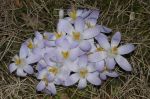 2006_03_27__0018.jpg