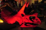 2008_10_25__08891_.jpg
