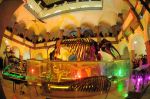 2008_10_25__09134_.jpg