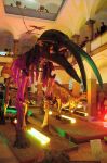 2008_10_25__09235_.jpg