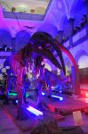 2008_10_25__09275_.jpg