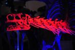 2008_10_25__09333_.jpg
