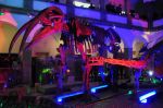 2008_10_25__09449_.jpg
