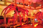2008_10_25__09487_.jpg