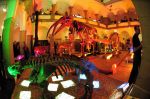 2008_10_25__09510_.jpg