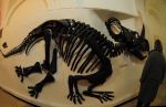 2008_10_25__10175_.jpg
