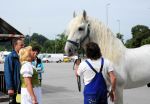 2009_07_12_00116_~0.jpg