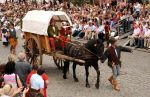 2009_07_12_01042_~0.jpg
